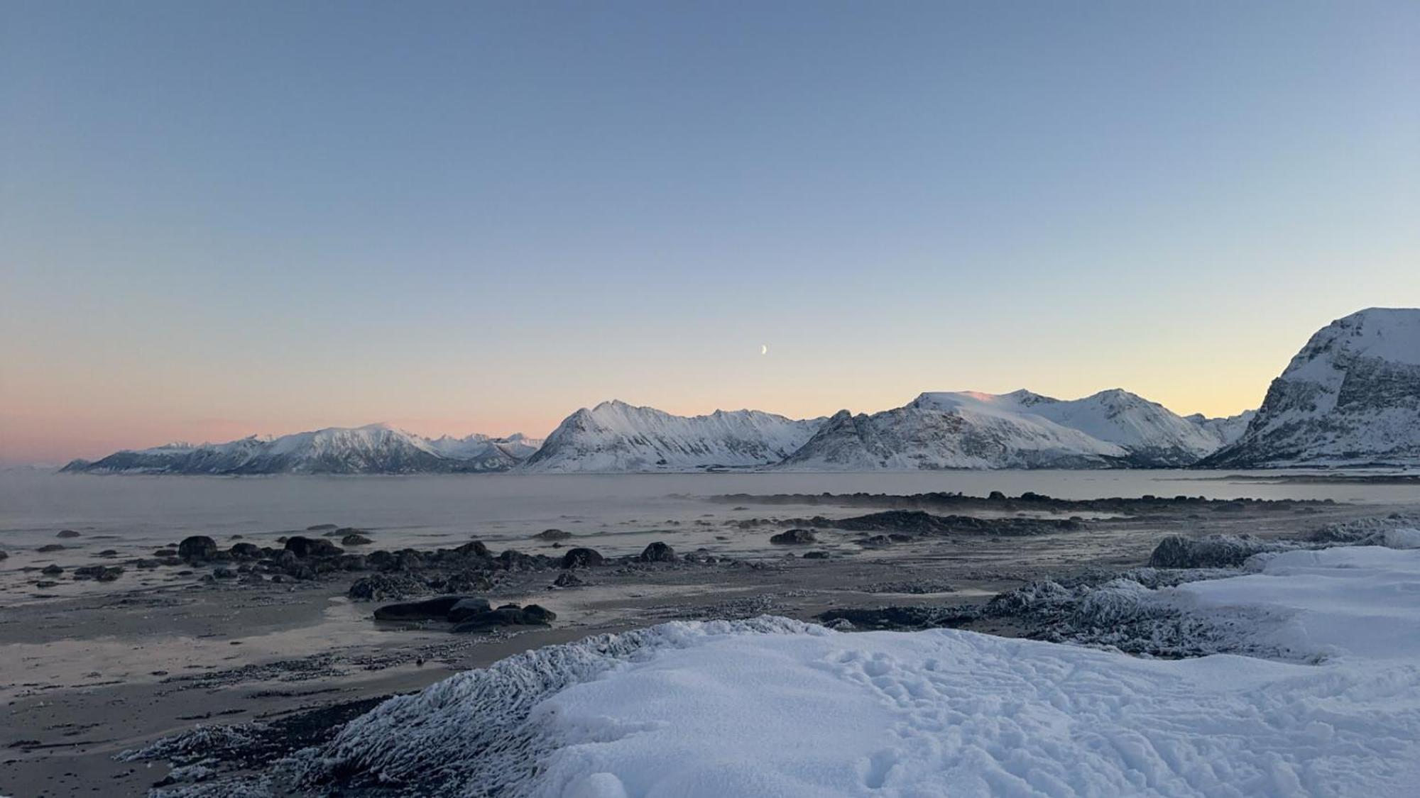 Unique Barnhouse In Amazing Gimsoy In Lofoten Saupstad  Eksteriør bilde